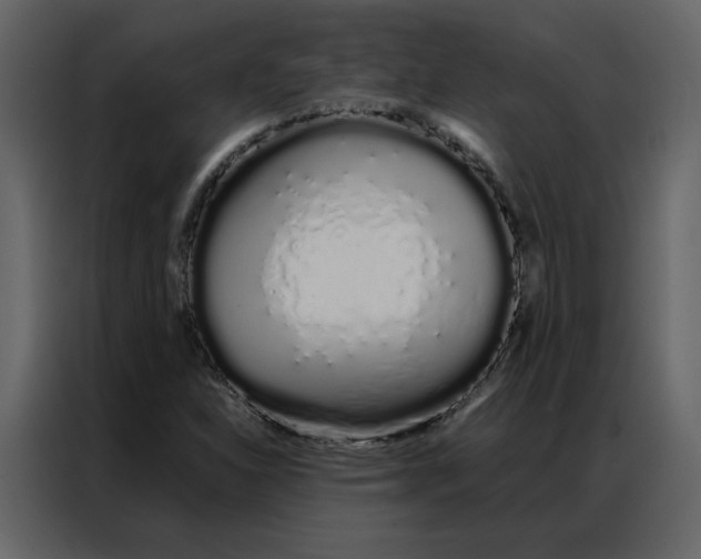 X0000086991310200705071429