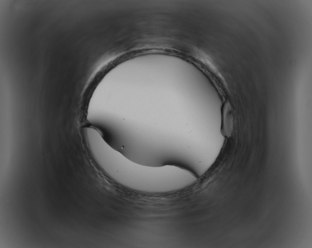 X0000086991312200705071429