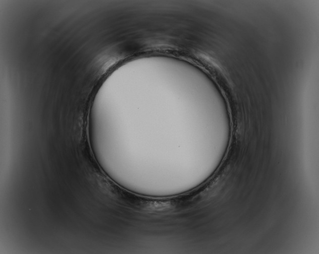 X0000086991313200705071429