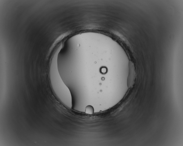 X0000086991314200705071429