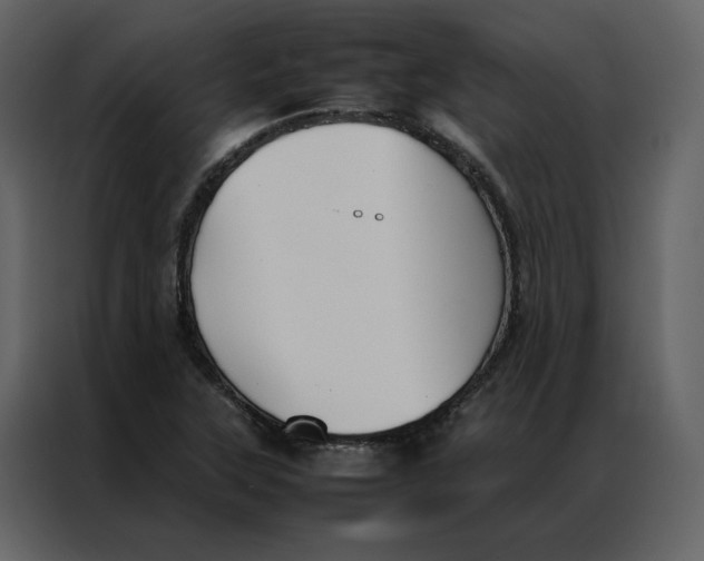 X0000086991315200705071429