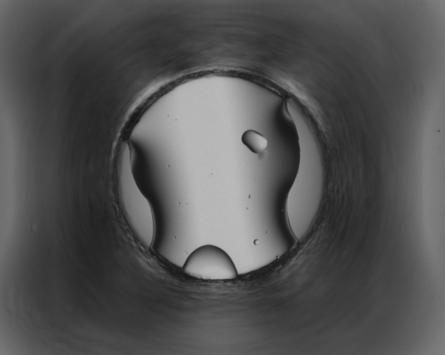 X0000086991316200705071429