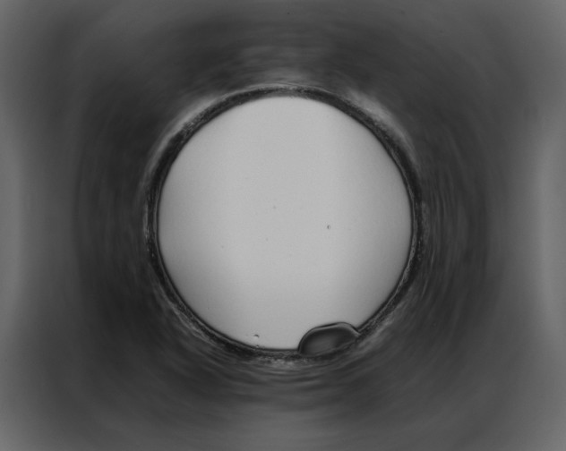 X0000086991318200705071429