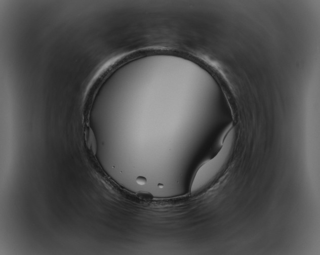 X0000086991319200705071429