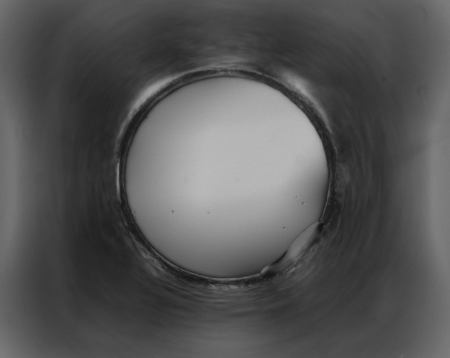 X0000086991320200705071429