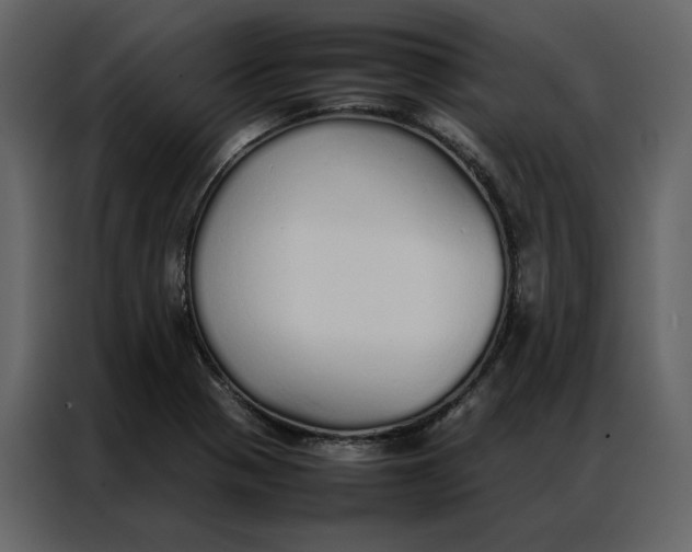 X0000086991321200705071429