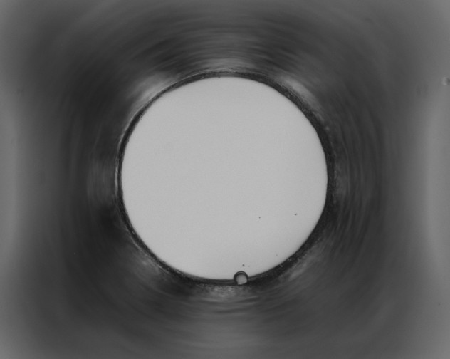 X0000086991322200705071429