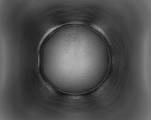 X0000086991323200705071429