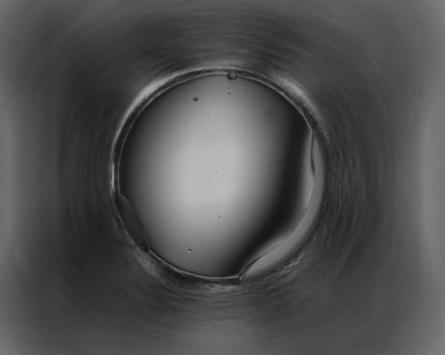 X0000086991324200705071429