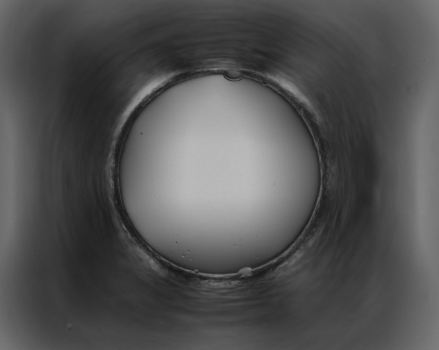 X0000086991325200705071429