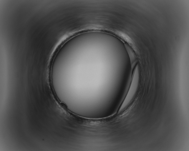 X0000086991326200705071429