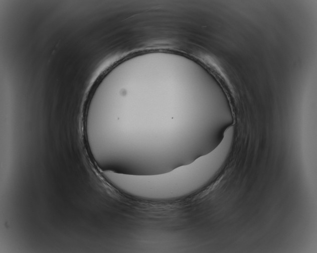 X0000086991328200705071429