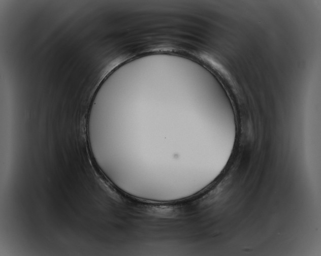 X0000086991329200705071429