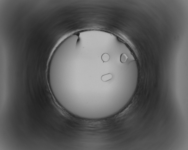 X0000086991332200705071429