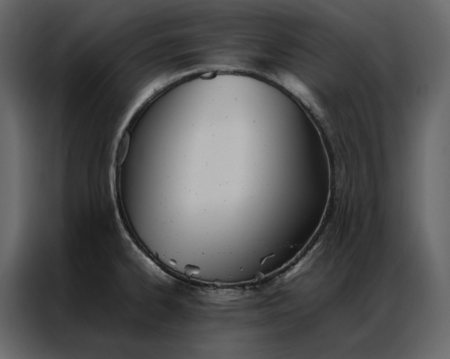 X0000086991334200705071429