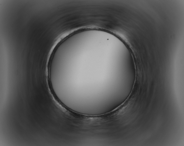 X0000086991335200705071429