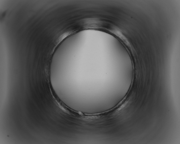 X0000086991337200705071429