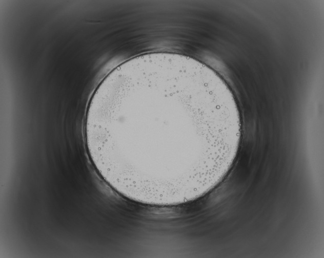 X0000086991338200705071429