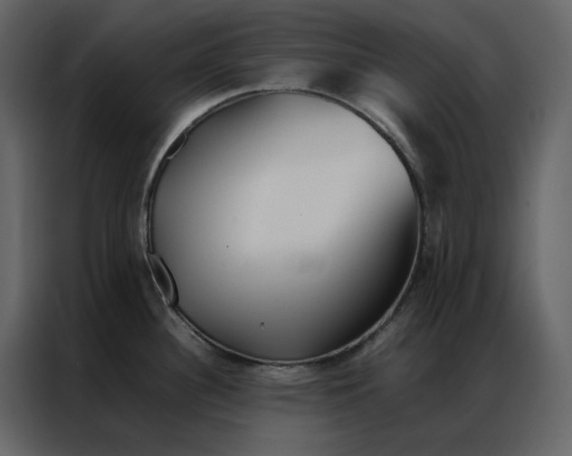 X0000086991340200705071429