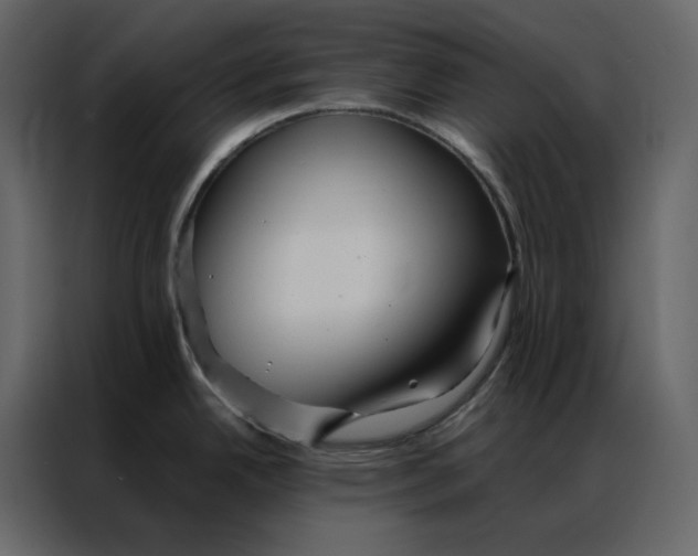 X0000086991342200705071429