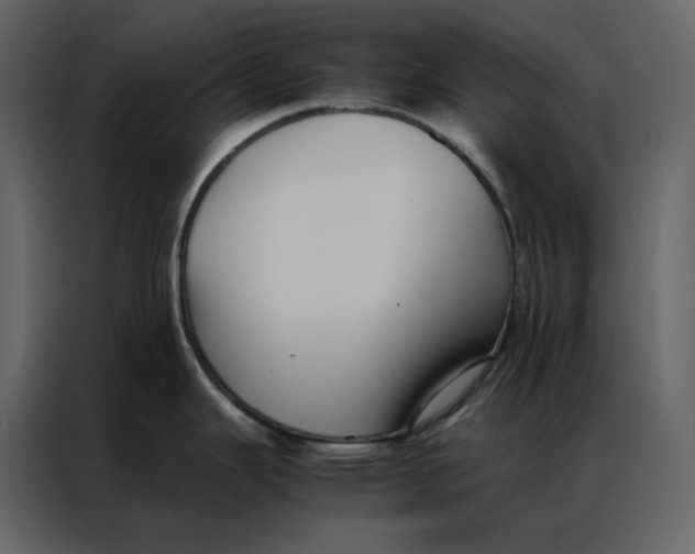 X0000086991343200705071429