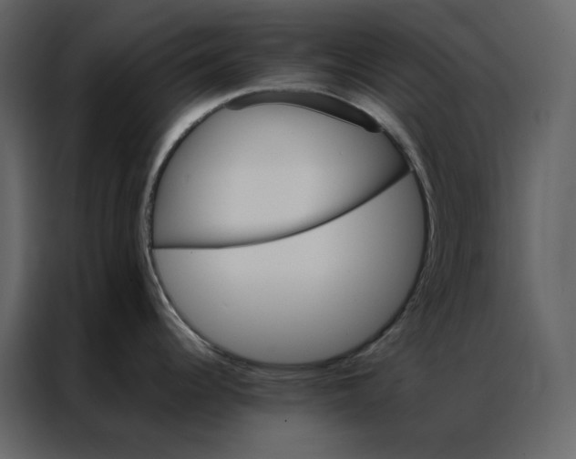 X0000086991344200705071429