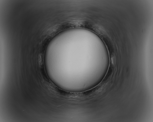 X0000086991347200705071428