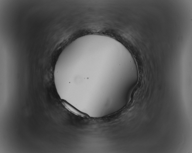 X0000086991349200705071428