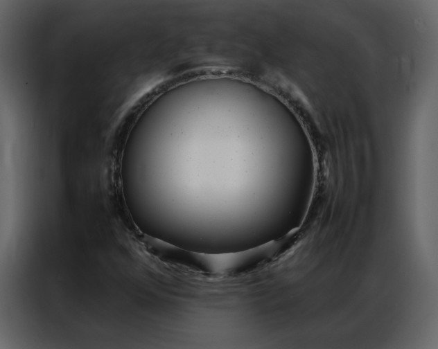 X0000086991352200705071428