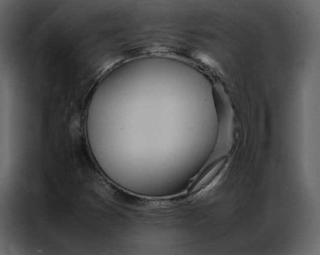 X0000086991353200705071428