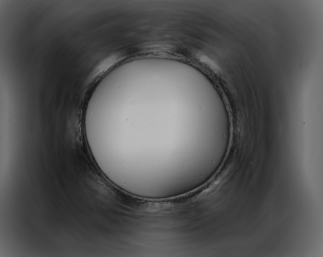 X0000086991354200705071428