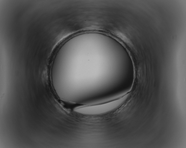 X0000086991356200705071428