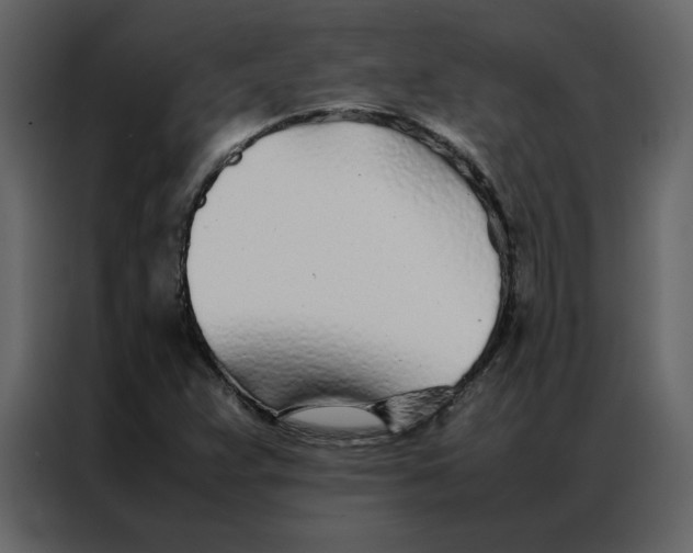 X0000086991359200705071428