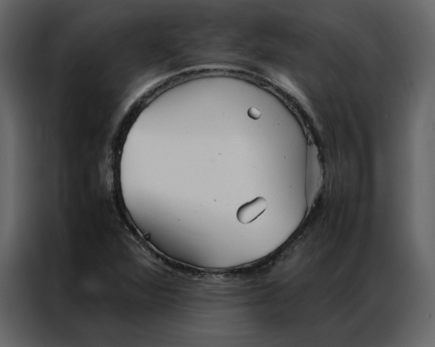 X0000086991360200705071428