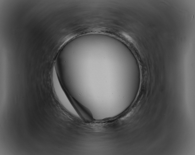 X0000086991361200705071428