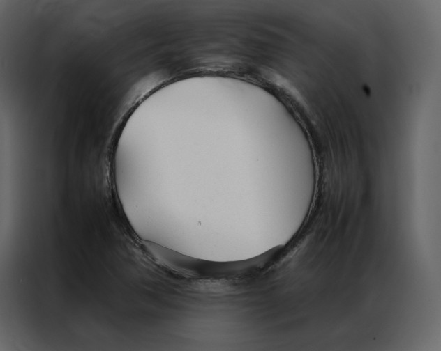 X0000086991362200705071428