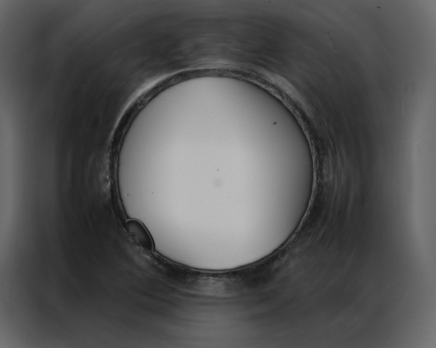 X0000086991364200705071428