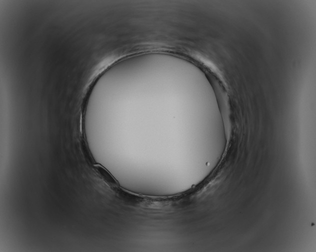 X0000086991365200705071428