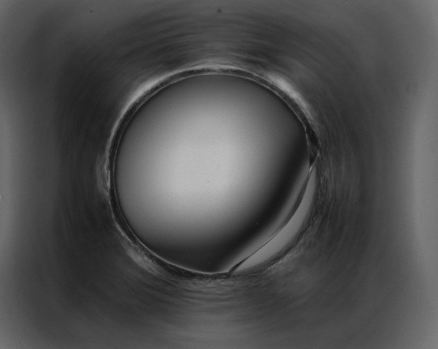 X0000086991372200705071428