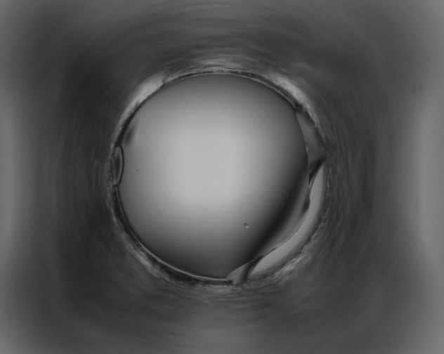 X0000086991373200705071428