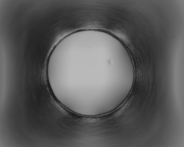 X0000086991374200705071428