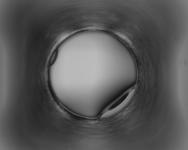 X0000086991375200705071428