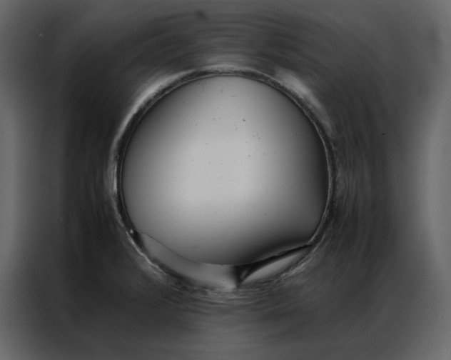 X0000086991376200705071428