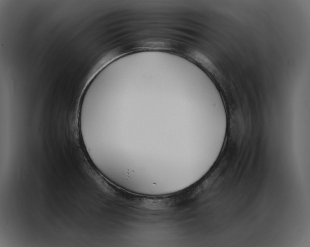 X0000086991378200705071428