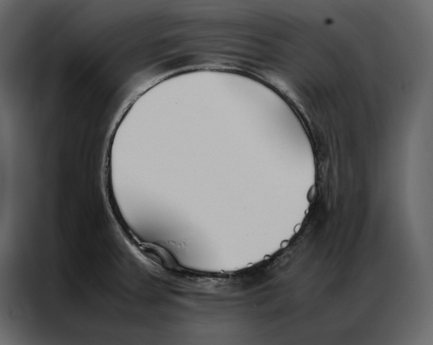 X0000086991379200705071428