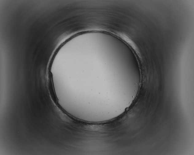 X0000086991380200705071428