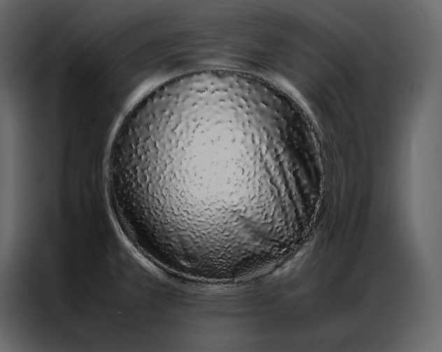 X0000086991381200705071428