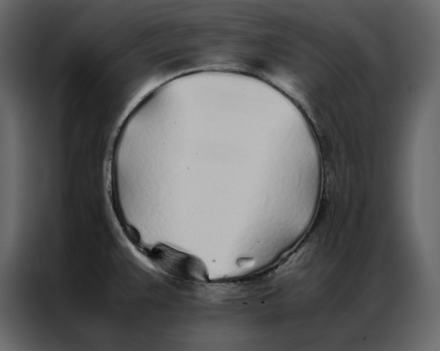 X0000086991383200705071428