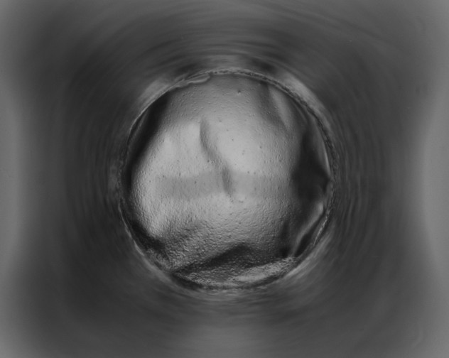 X0000086991385200705071428