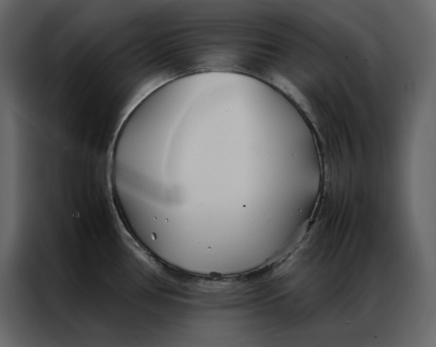 X0000086991386200705071428